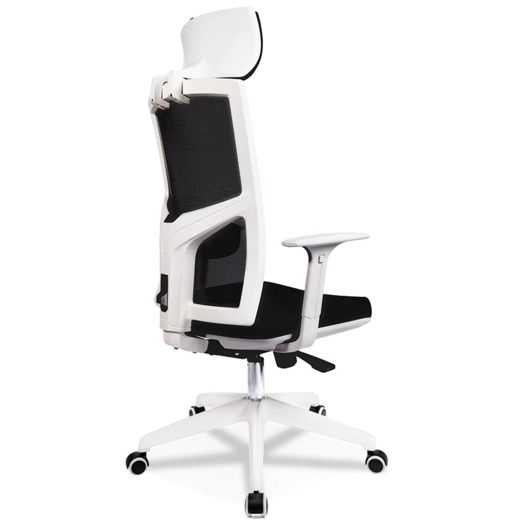 Office Chair mit Netzrücken - 120kg Belastbarkeit und Nylonrollen für flexible Beweglichkeit von Kadima Design_