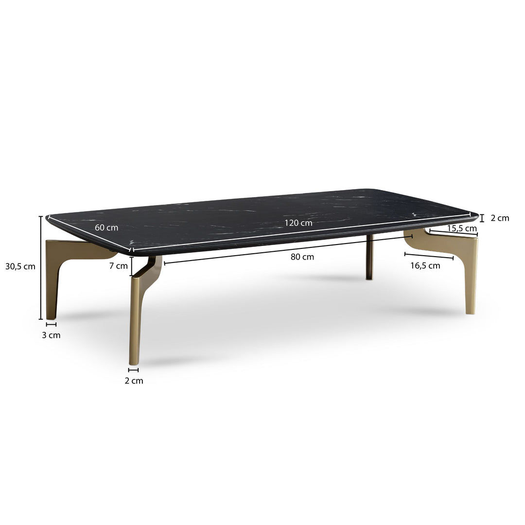 Couchtisch Schwarz/Gold Hochglanz Marmor Optik 120x60x30.5 cm Metall-Gestell