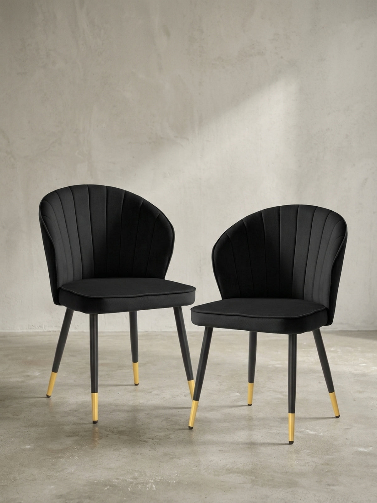 Frontale Ansicht des eleganten Esszimmerstuhls aus tiefschwarzem Samt mit 83 cm Höhe und filigranen schwarzen Metallbeinen mit edlen Goldkappen._