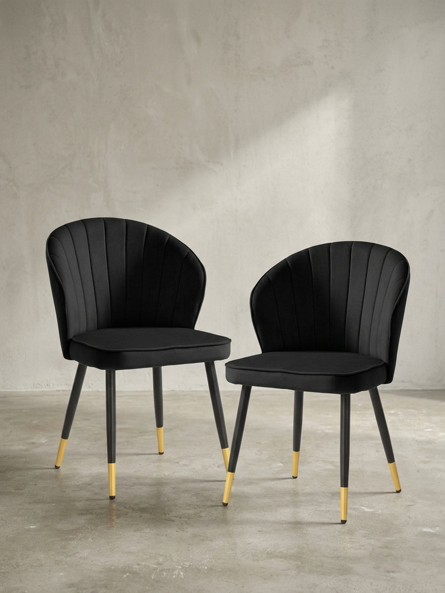 Frontale Ansicht des eleganten Esszimmerstuhls aus tiefschwarzem Samt mit 83 cm Höhe und filigranen schwarzen Metallbeinen mit edlen Goldkappen._