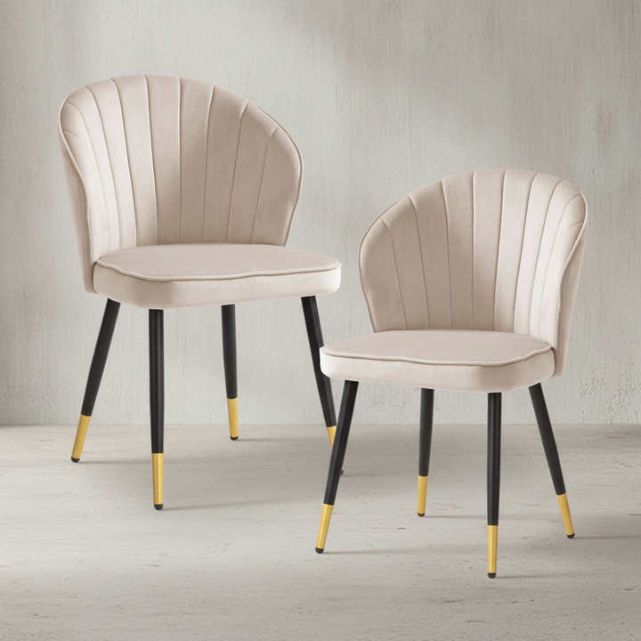 Set aus zwei beigen Samtstühlen mit gepolsterter Sitzschale und Metallbeinen _