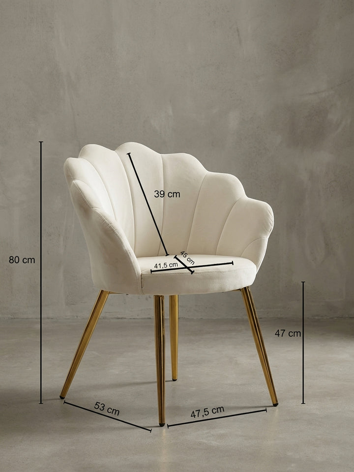 Esszimmerstühle Eiche Massivholz Design Möbel_