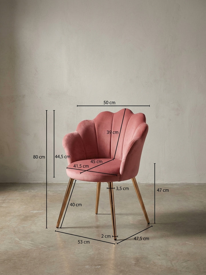 Esszimmerstühle Eiche Massivholz Design Möbel_