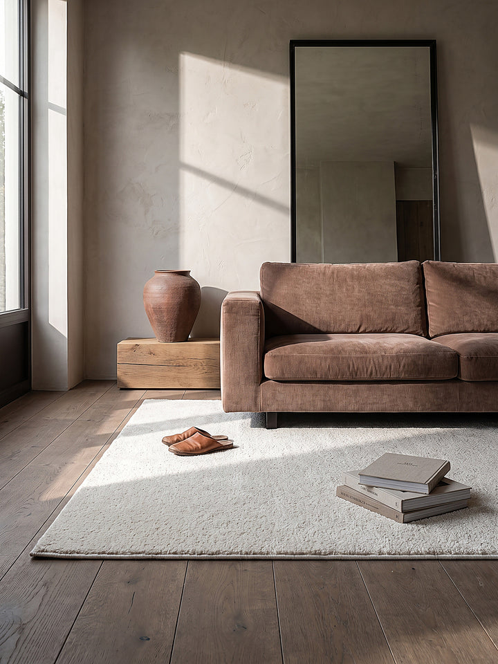 Teppich Creme rechteckig im modernen Wohnzimmer_