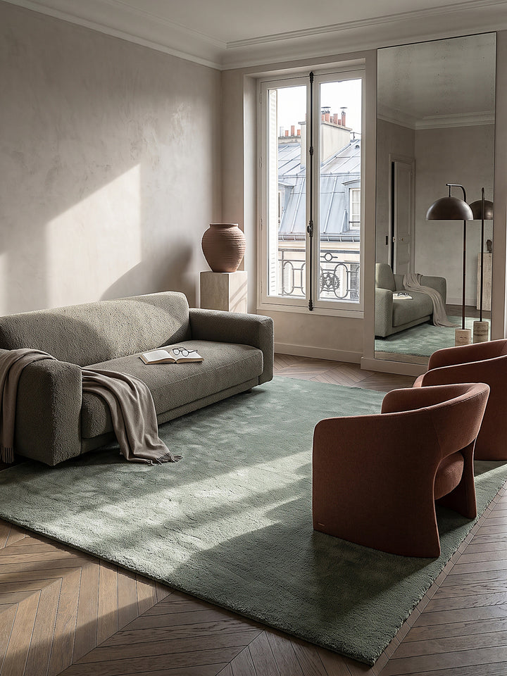 Teppich Grün rechteckig im modernen Wohnzimmer_