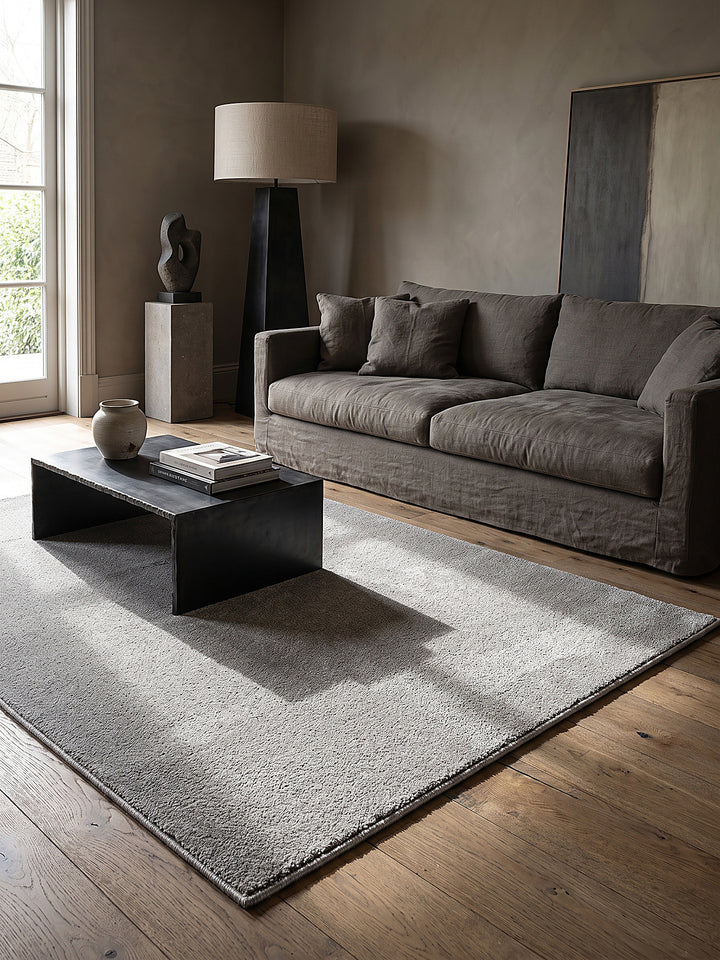 Teppich Silber rechteckig im modernen Wohnzimmer_