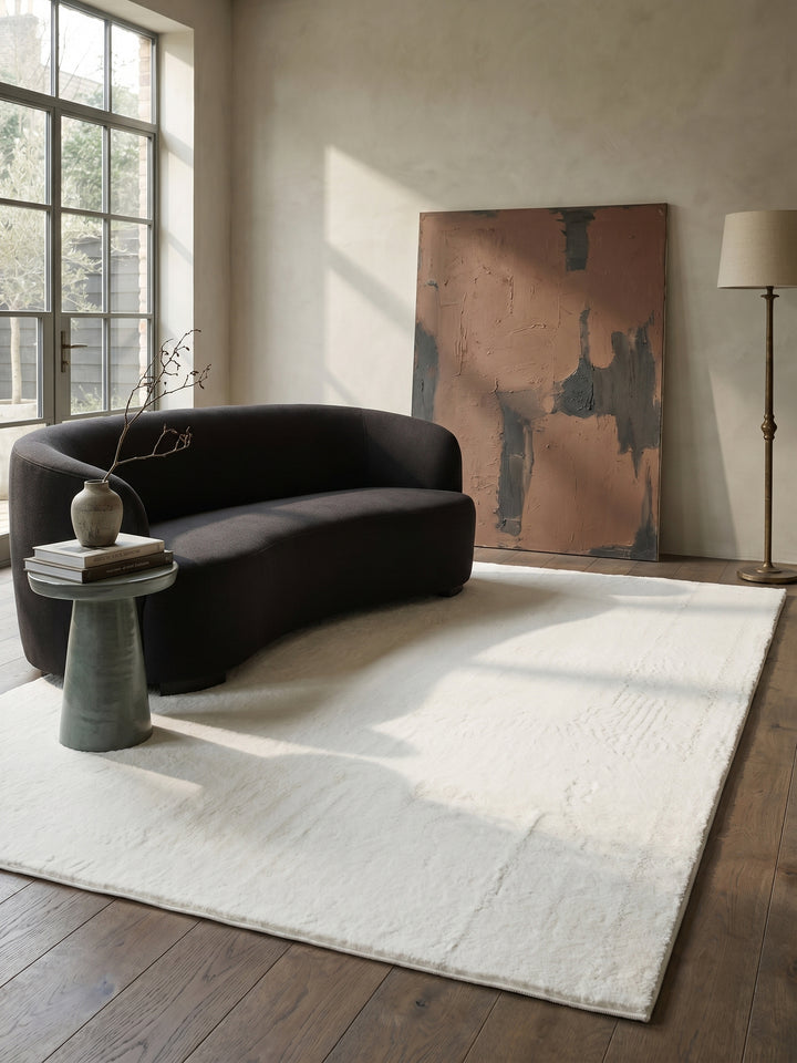 Teppich Creme rechteckig im modernen Wohnzimmer_