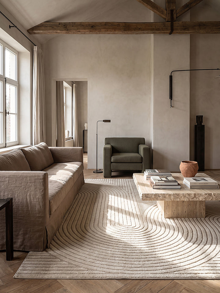 Teppich Beige rechteckig im modernen Wohnzimmer_