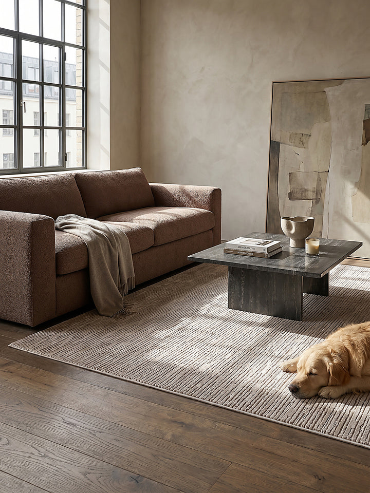 Teppich Beige rechteckig im modernen Wohnzimmer_