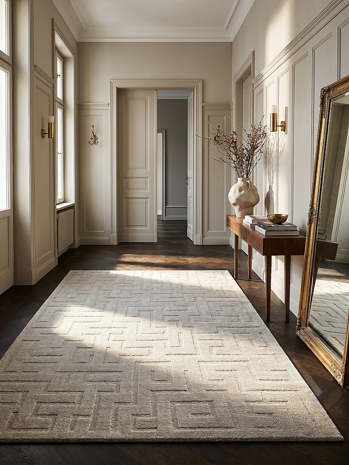 Teppich Beige rechteckig im modernen Wohnzimmer_