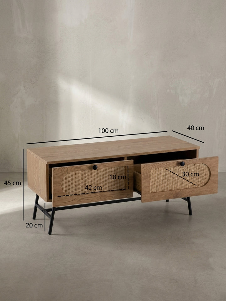 Technisches Bild des TV-Lowboards mit exakten Maßen: Breite 100 cm, Höhe 45 cm, Tiefe 40 cm, für die perfekte Raumplanung._