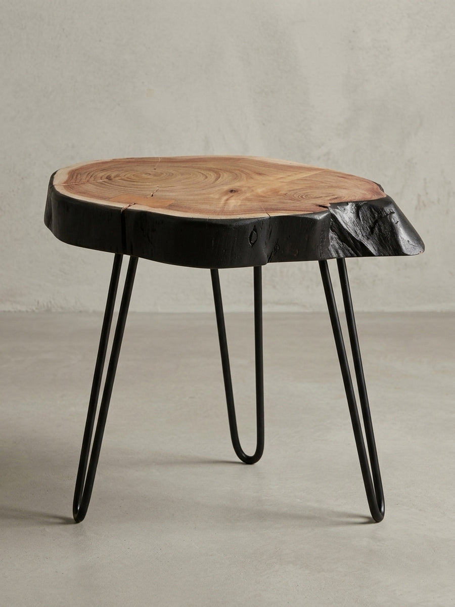 Freigestellter Beistelltisch aus massiver Akazie mit schwarzer Baumkante und schlanken Haarnadelbeinen aus Metall, Frontansicht auf weißem Hintergrund._