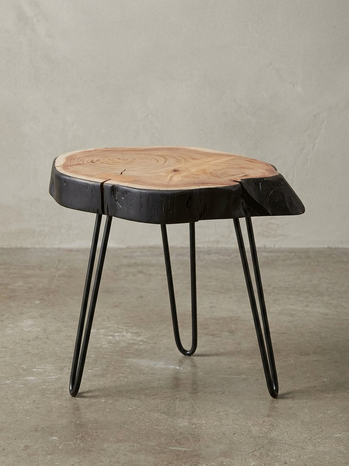 Gesamtansicht des Design-Beistelltisches, der die harmonische Verbindung von warmem Akazienholz mit der rohen, schwarzen Baumkante und filigranen Metallbeinen zeigt._