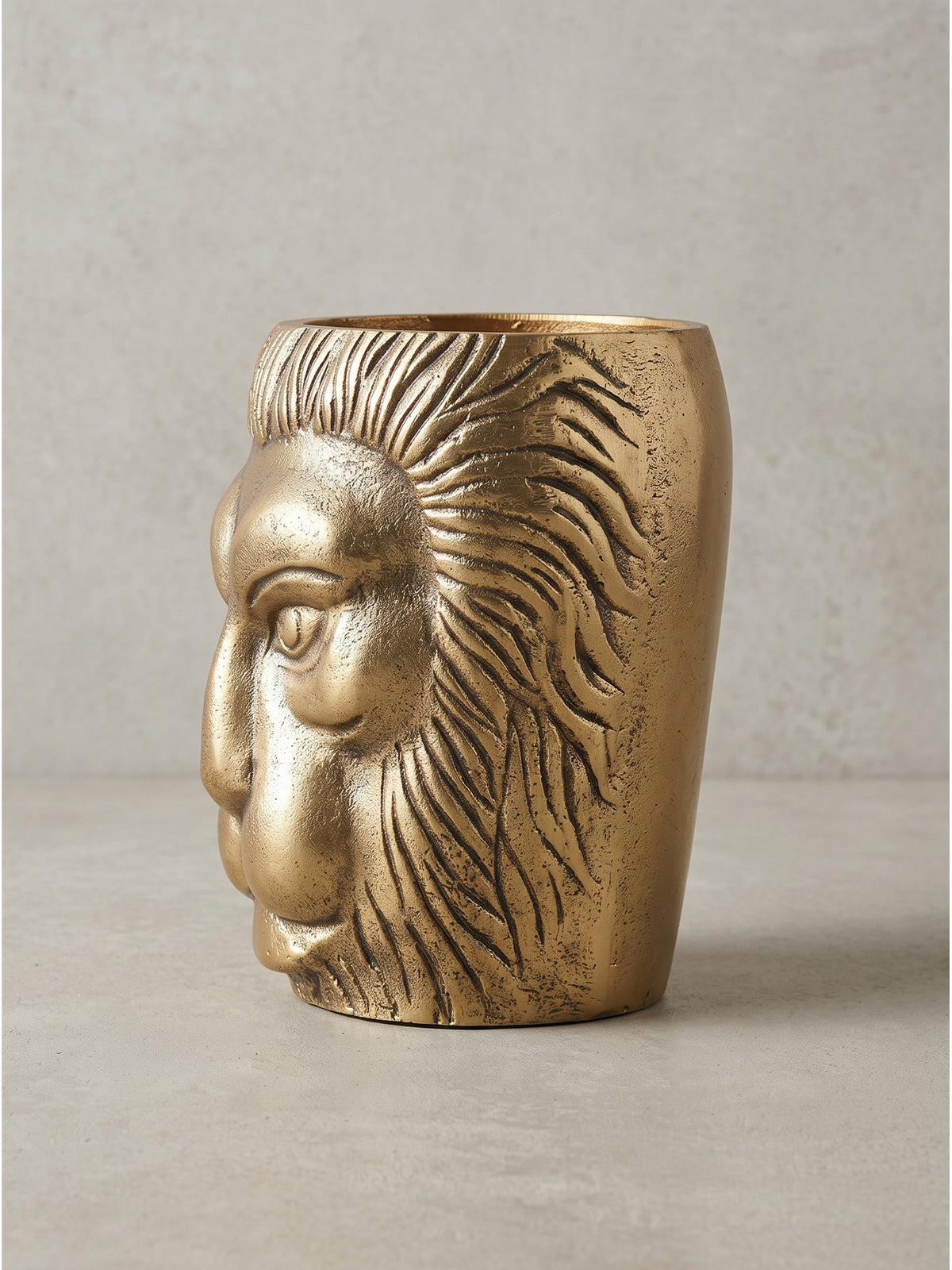 Seitenansicht der Alu Blumenvase Löwenkopf mit detaillierter Relief-Oberfläche, präsentiert ohne Dekoration auf neutralem Grund.