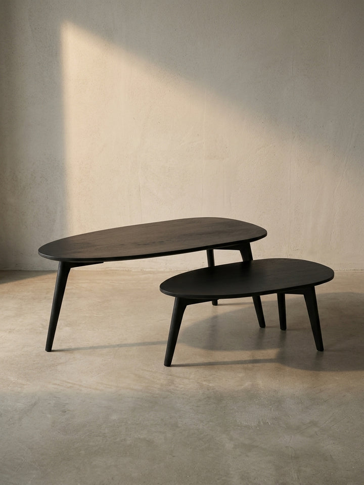 Zweiteiliges Satztisch-Set aus schwarz lackiertem Mangoholz mit organisch geformten Tischplatten, freigestellt vor weißem Hintergrund._