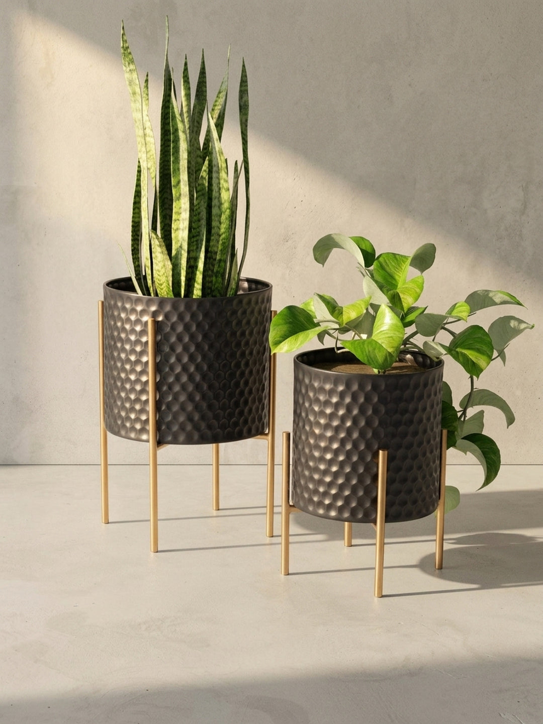Klare Seitenansicht des größeren, schwarzen Metall-Blumentopfs, die das schlanke Profil des goldenen Ständers und die elegante Gesamthöhe von 44 cm veranschaulicht._