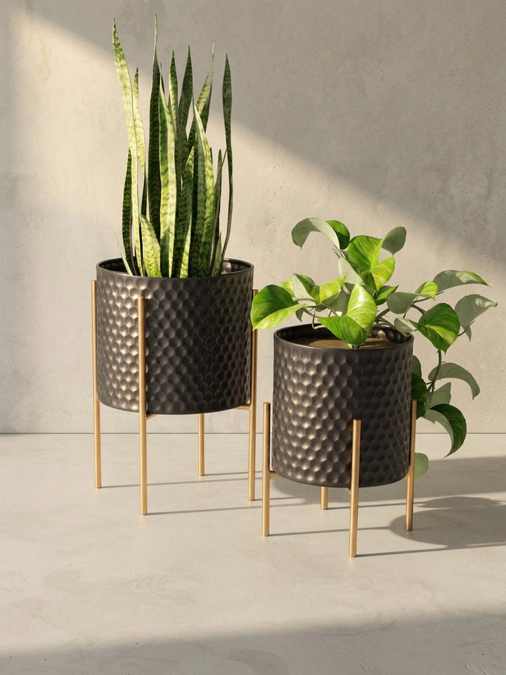 Klare Seitenansicht des größeren, schwarzen Metall-Blumentopfs, die das schlanke Profil des goldenen Ständers und die elegante Gesamthöhe von 44 cm veranschaulicht._