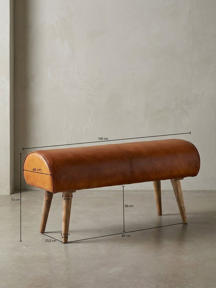Sitzbänke Mango Massivholz Design Möbel_
