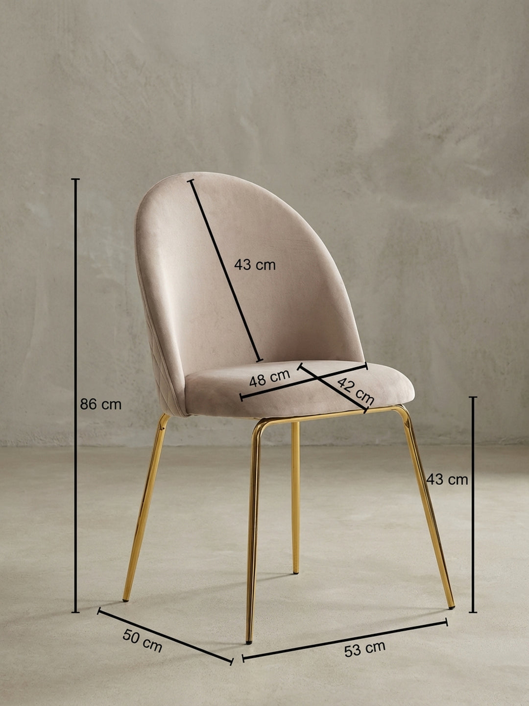 Esszimmerstühle Eiche Massivholz Design Möbel_