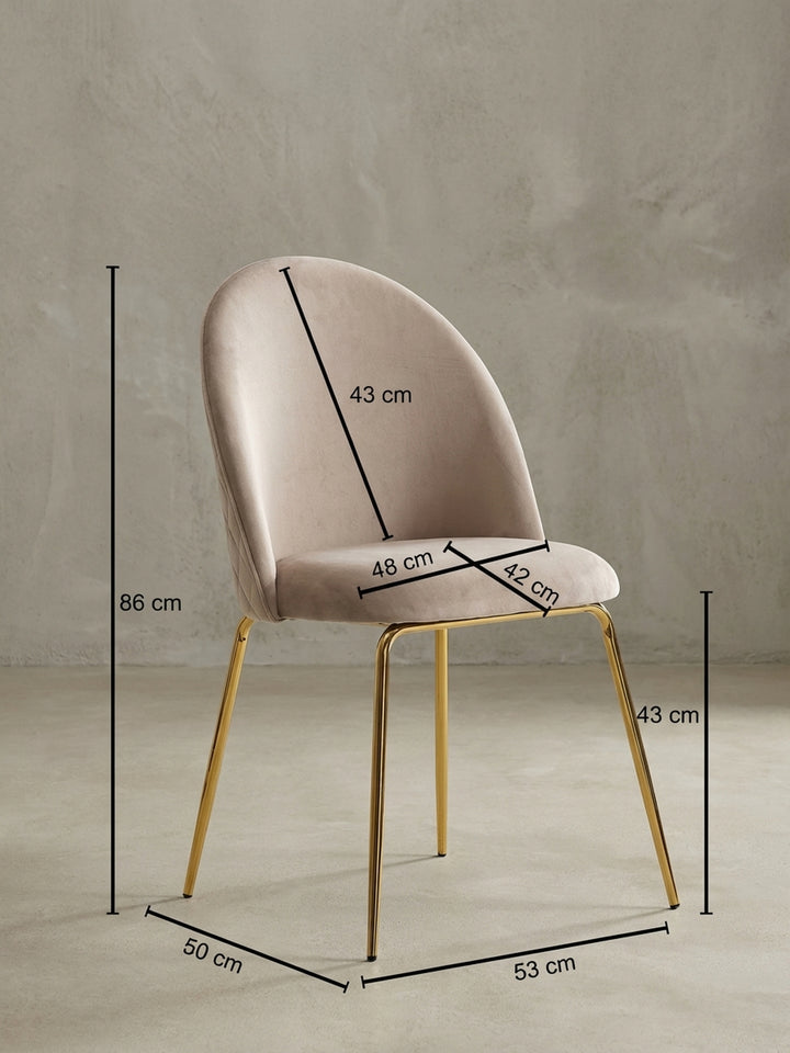 Esszimmerstühle Eiche Massivholz Design Möbel_