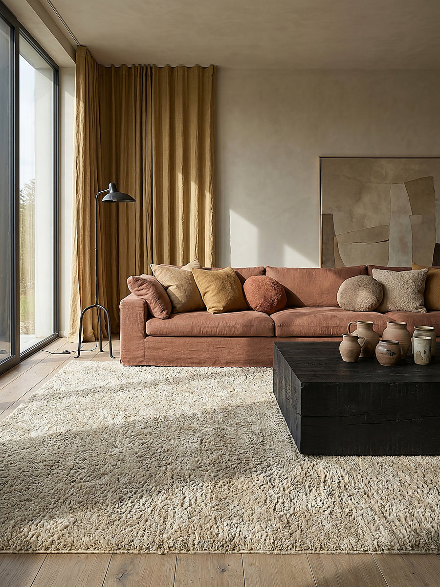 Teppich Beige rechteckig im modernen Wohnzimmer_