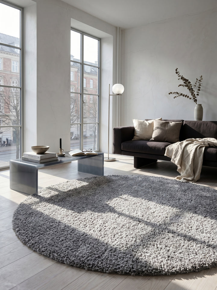 Teppich Hellgrau rund im modernen Wohnzimmer_