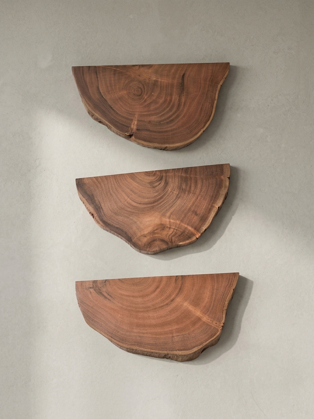 Gesamtüberblick über das moderne 3er Set Wandregale, dessen Design von der natürlichen Form eines Baumstamms inspiriert ist._