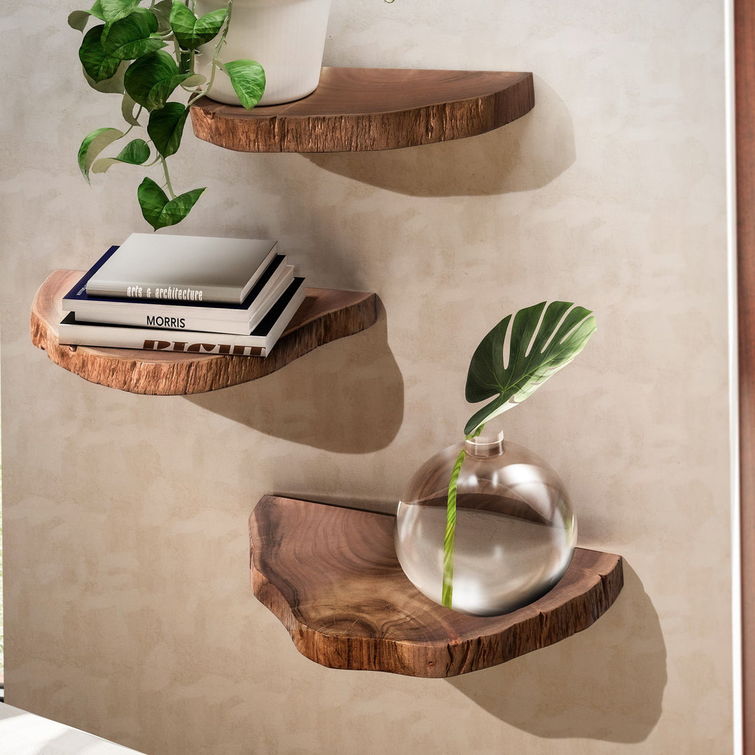 Wandregal Akazie Massivholz Modern Stil 3er Set Baumscheibe mit Baumkante