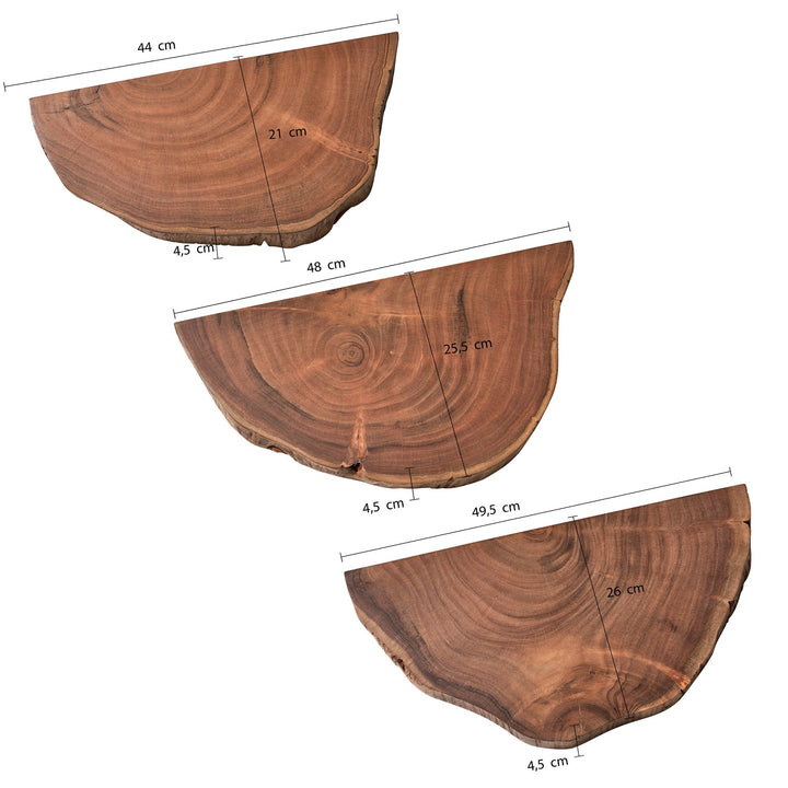 Wandregal Akazie Massivholz Modern Stil 3er Set Baumscheibe mit Baumkante
