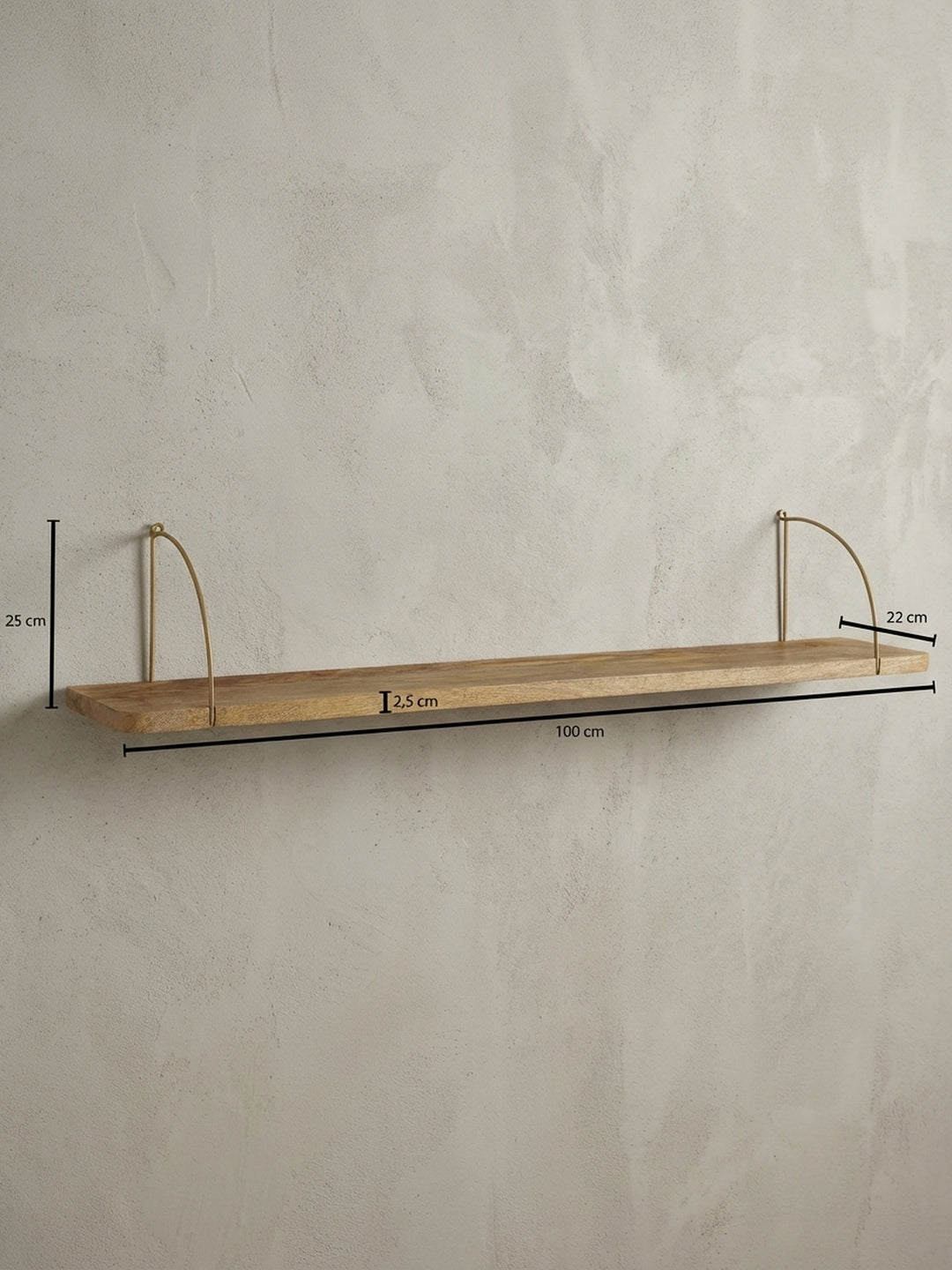Technische Zeichnung des Wandregals mit allen Maßen: Breite 100 cm, Höhe 25 cm, Tiefe 22 cm, für eine exakte Montageplanung an der Wand._