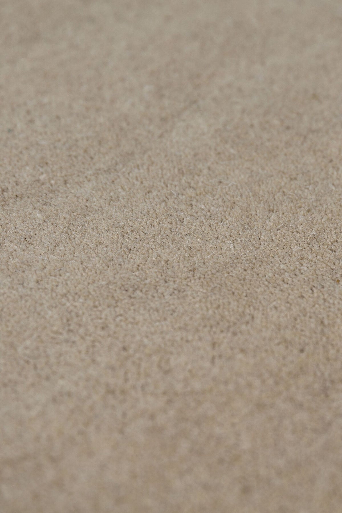 Teppich Wellenkante Beige-Natur Ton-in-Ton-Bordüre Wolle Oberfläche Florhöhe Detail_