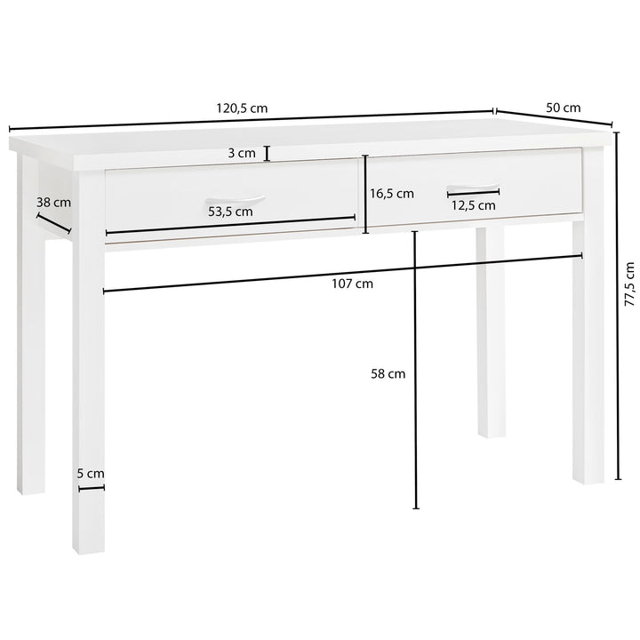 Moderner Schreibtisch mit 2 Schubladen_ 120 cm_ Stauraum_ einfacher Aufbau_ elegantes Design für Büro und Heimarbeit - KADIMA DESIGN_Größe_ 120x50x77 cm_#sku_BARWL1.158#